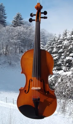 Cello Neubau