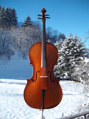 Cello Ralf Schumann