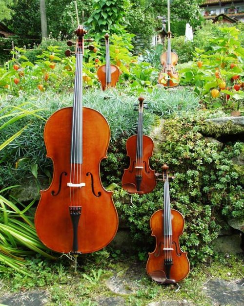 Eigenbau: Cello, Bratsche, Violine